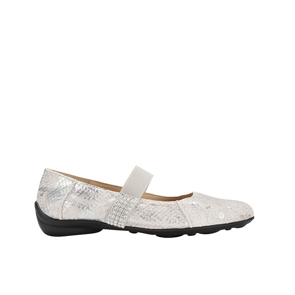 Silver Hide
